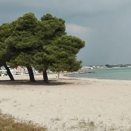 Pensionat L'angulus Ridet